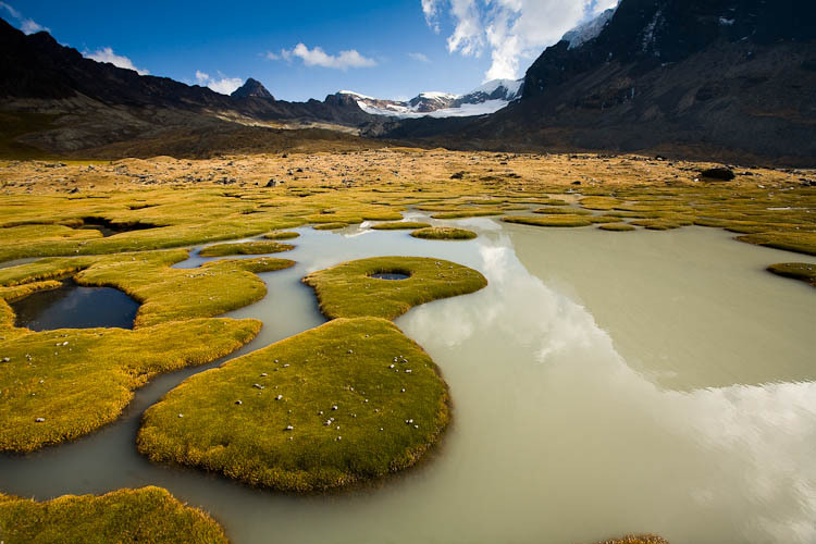 A high-altitude bog lies at the foot of Mt. Cuchillo (18,553
