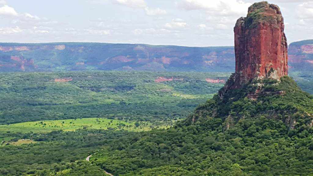 Chochis, un espectacular atractivo turísticos de Roboré. Foto: Natura Tours