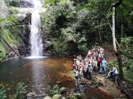 Cascadas en Roboré