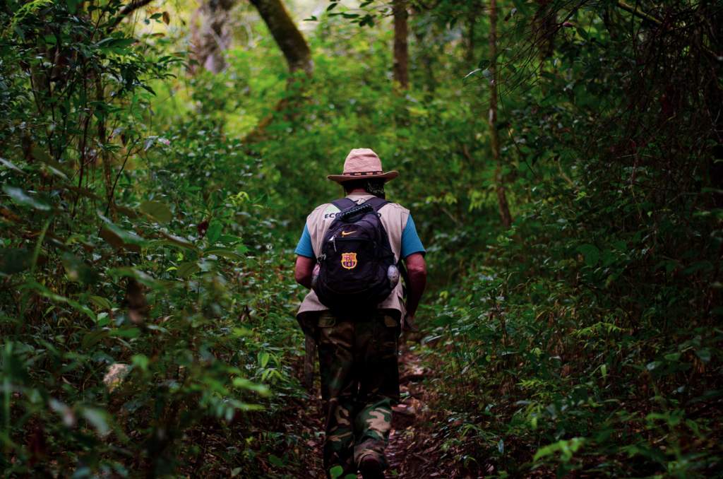 Cántaro llenándose por hecfran Guías de ecoturismo, un nuevo oficio capta adeptos en todo el mundo - La Región