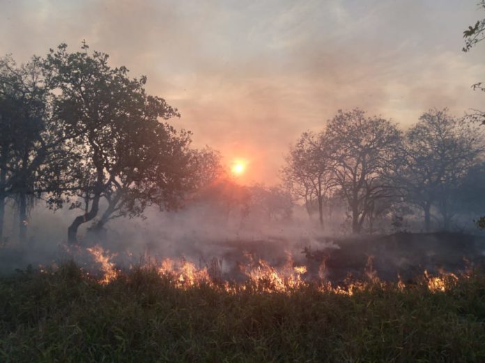 incendio 2