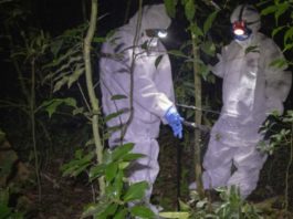 Investigadores de ébola en Sierra Leona. Foto: Laura Gil