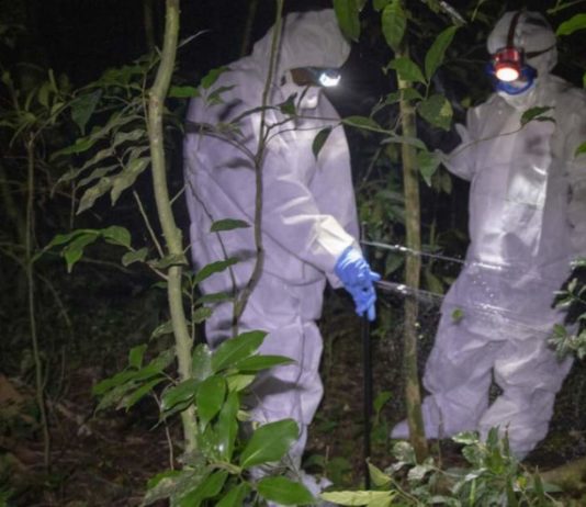 Investigadores de ébola en Sierra Leona. Foto: Laura Gil