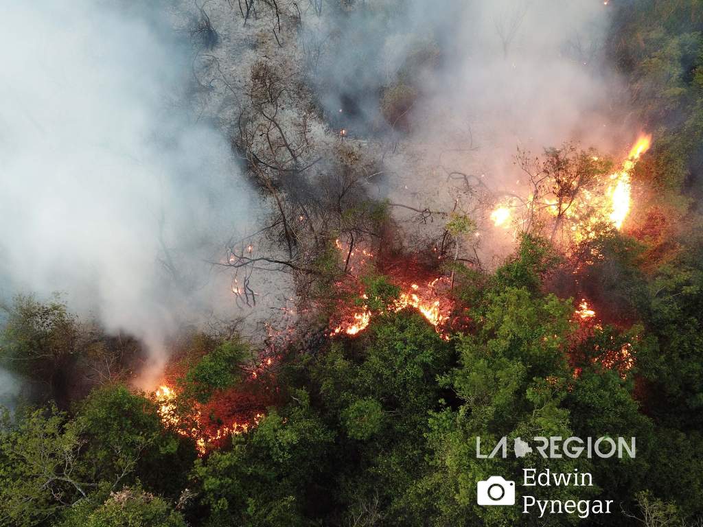 Aerial view of the fire in the forest of Kaa Iya National Park. Photo: Edwin Pynegar