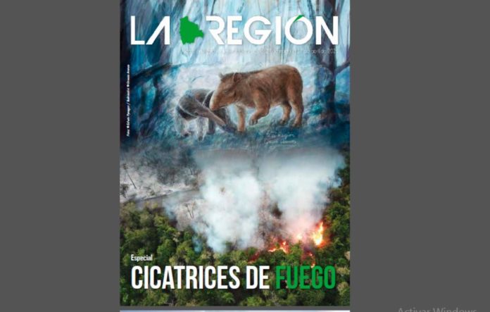 REVISTA OKI