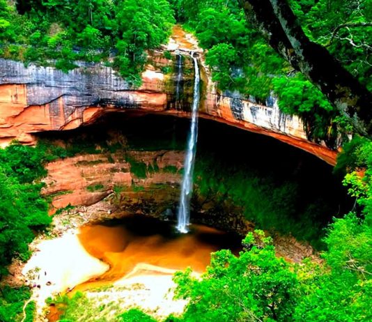 El Parque Nacional Amboró es una de las áreas protegidas donde hubo mayor incremento de cultivos. Foto: Jardín de las Delicias, Sernap.