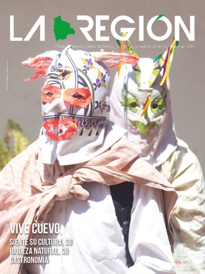 portada 61
