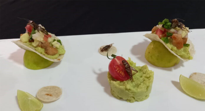 CON PALTA2