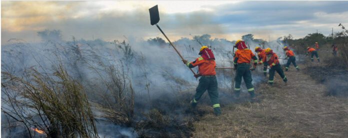 incendios forestales Bolivia