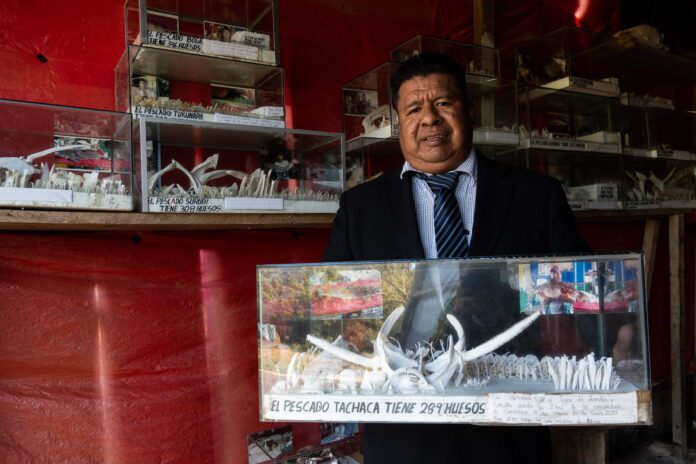 Arturo Callata con una de las maquetas que permiten apreciar de manera visual los huesos documentados. Foto: Marton Hardy/ WCS