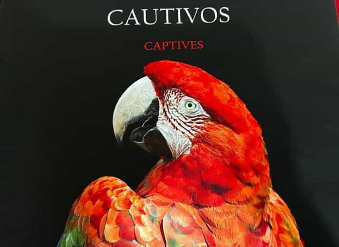 cautivos trafico de loros BOlivia