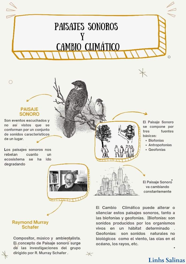 ¿Qué son los paisajes sonoros y por qué debemos cuidarlos?