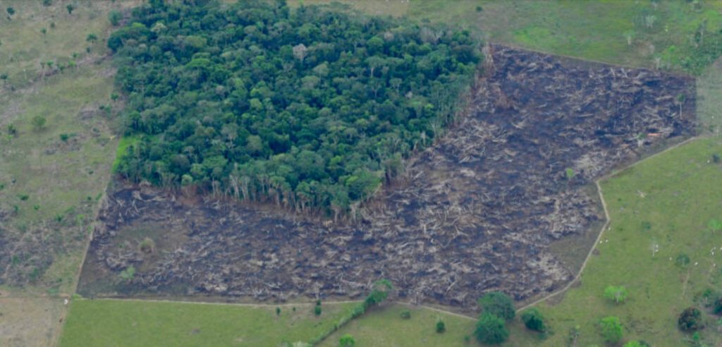 Vista aérea de las zonas deforestadas en La Lindosa, Guaviare, Colombia, en el 2019. Foto: Jorge Contreras.