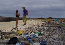 Según un estudio realizado en las Islas Galápagos, las cinco biorregiones evaluadas están contaminadas con plástico. Foto: Galápagos Science Center.