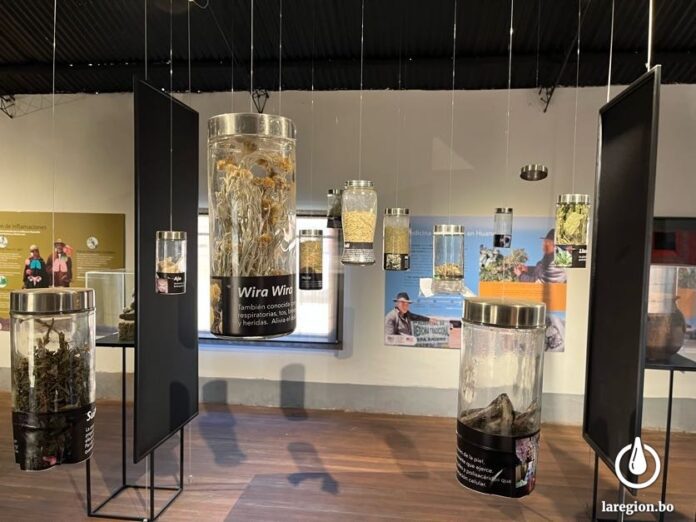 Museo de plantas medicinales en Huancollo, Tiahuanacu En este repositorio se exhiben más de veinte especies de plantas medicinales.