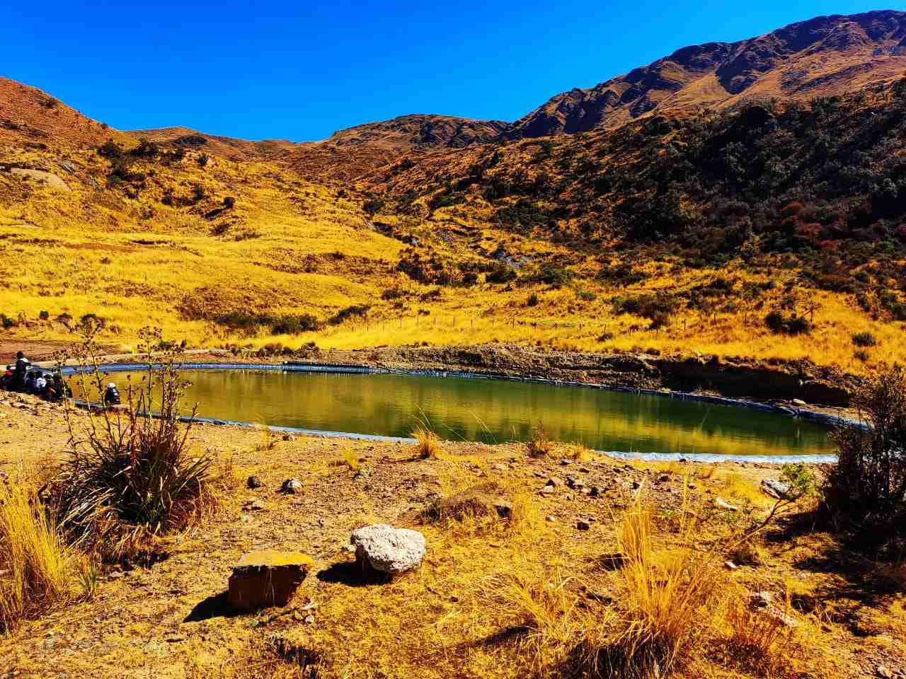 Comunidad La Phia: Protectora de los bosques longevos de kewiñas ...
