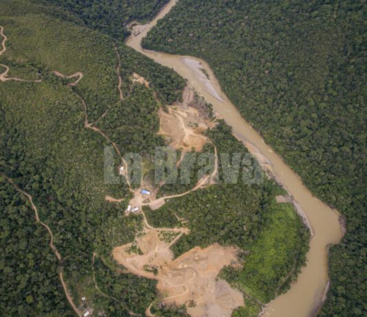 Al menos dos ramales camineros ingresan a los campamentos mineros 3 de Mayo y Mohima, a orillas del río Tuichi. Foto: Mauricio Aguilar.