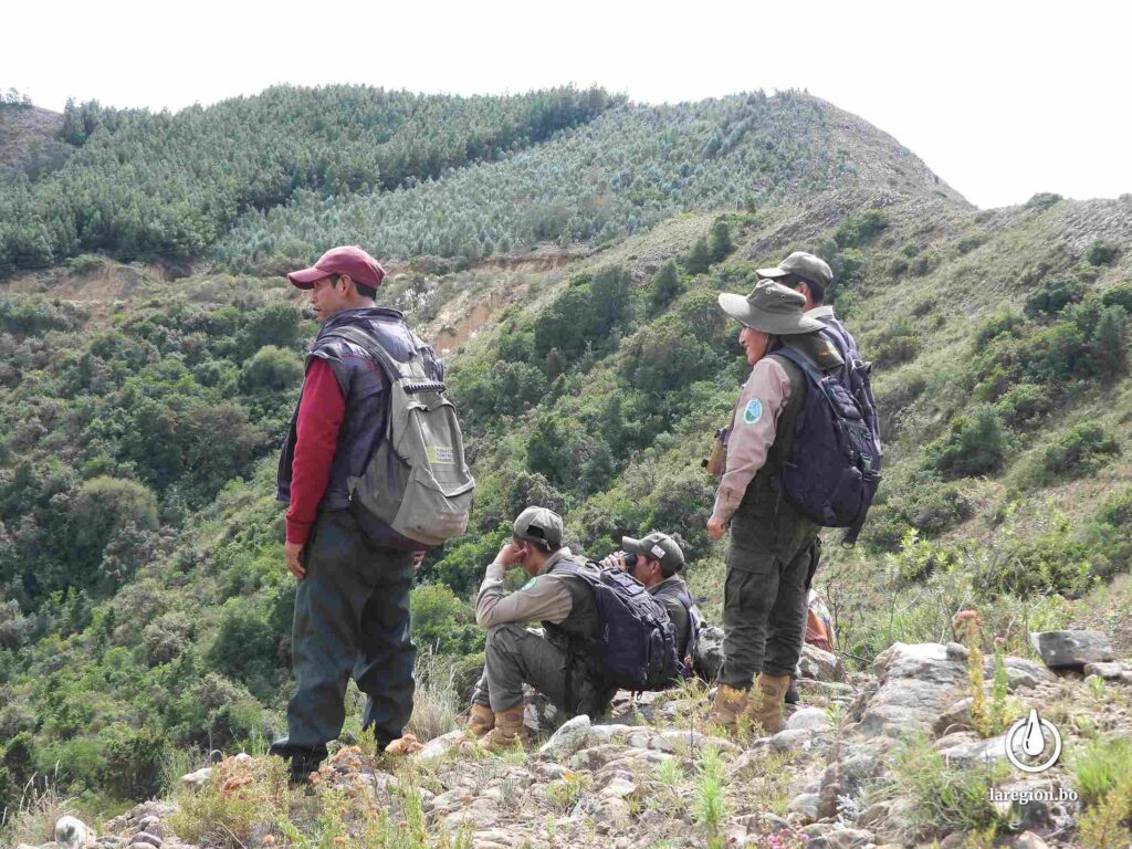 Guardaparques durante el rastrillaje para encontrar al oso jucumari en El Palmar. Foto: Tomás Calahuma