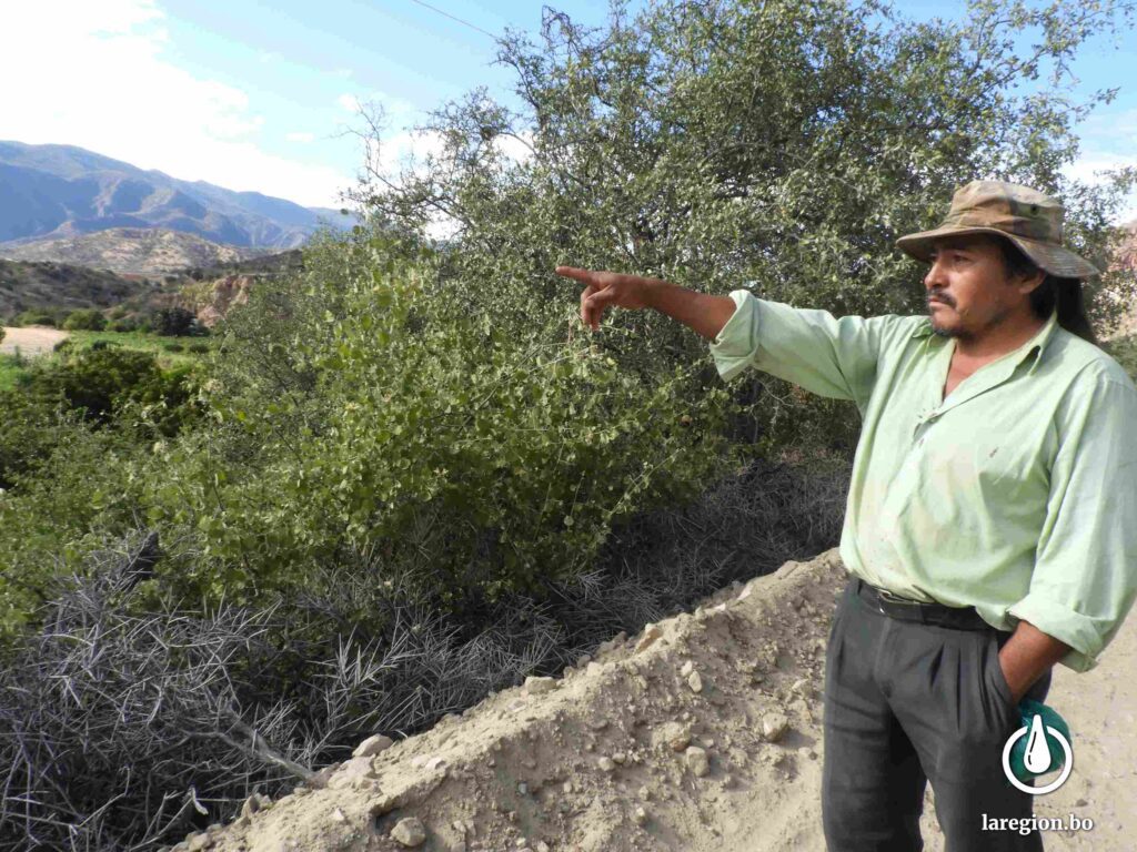 Cresencio Guzmán, representante de San Carlos, muestra orgulloso la producción agrícola de la zona. Foto: Doly Leytón