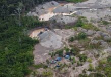 La comunidad nativa Tres Islas perdió más de 500 hectáreas de bosques en los dos últimos años por causa de la minería ilegal. / Foto: FEMA Madre de Dios