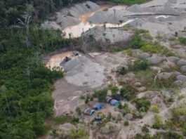 La comunidad nativa Tres Islas perdió más de 500 hectáreas de bosques en los dos últimos años por causa de la minería ilegal. / Foto: FEMA Madre de Dios