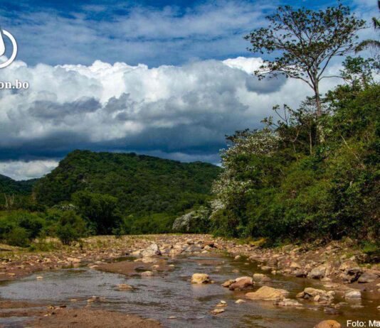 En la UCPN Güendá-Urubó se encuentra el área de recarga preferencial de uno de los acuíferos más importantes del departamento por su proximidad con Santa Cruz de la Sierra. También tiene una riqueza incalculable en cuanto a ecosistemas y biodiversidad. Foto: Marcelo Arze