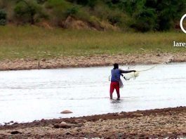 La escasez de pescado afecta al sector turístico gastronómico. / Foto Carla Ordoñez.