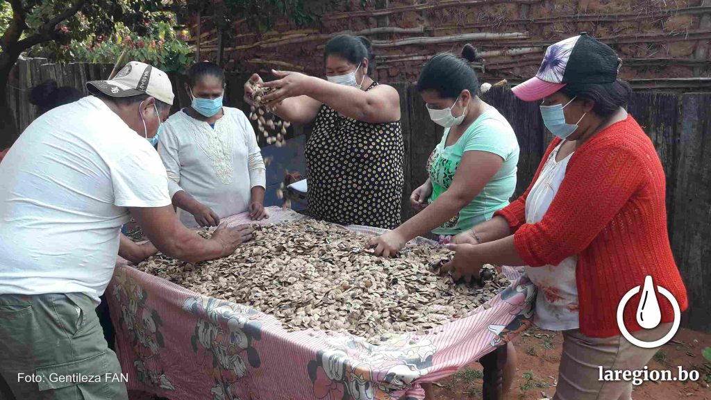 Las semillas de pesoé con fruto silvestre del bosque Chiquitano. Foto: Gentileza FAN