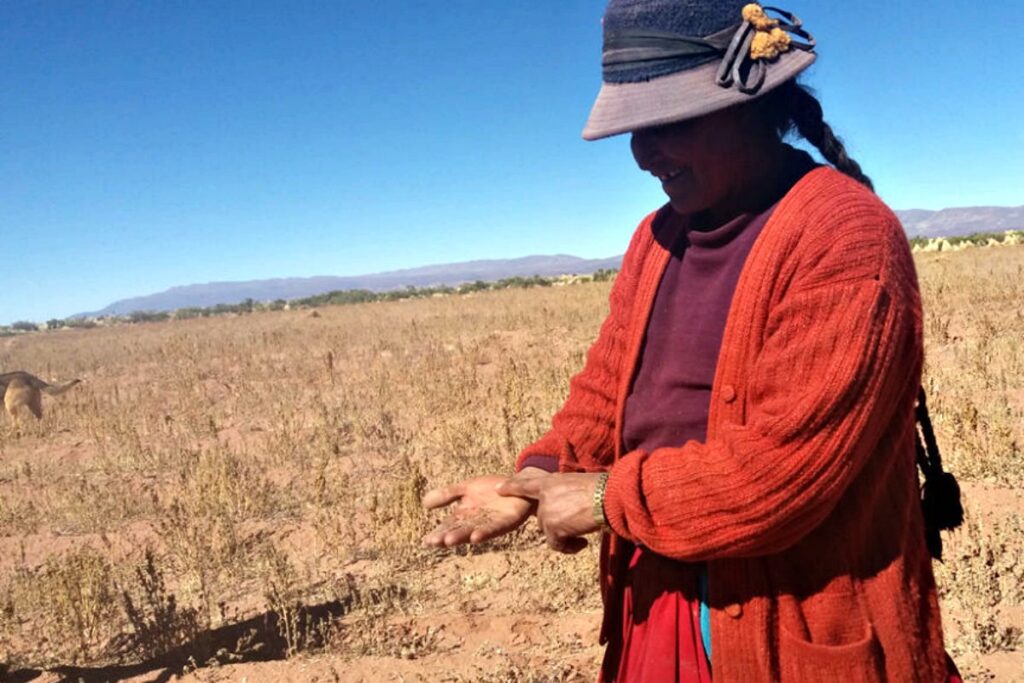 Sequía que afecta a los campesinos en Bolivia. Foto: Ministerio de Desarrollo Rural de Bolivia.