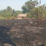 La devastación que dejó el fuego en la comunidad tsimane Palmira. / Foto: Fundación Tierra