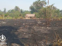 La devastación que dejó el fuego en la comunidad tsimane Palmira. / Foto: Fundación Tierra