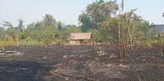 La devastación que dejó el fuego en la comunidad tsimane Palmira. / Foto: Fundación Tierra