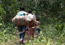 Five indigenous villages in the Bolivian amazon use technology and checkpoints to self-govern and preserve their territor