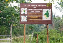 Loma Santa, an indigenous conservation area and expression of the autonomy of the MIT