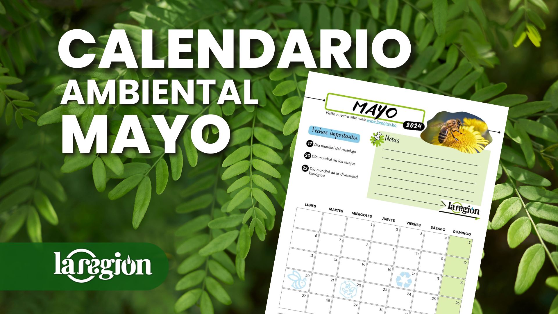 Calendario ambiental de mayo en Bolivia