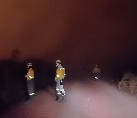 Los bomberos forestales enfrentan las llamas en seis municipios de Santa Cruz. Foto: Captura de video Gobernación de Santa Cruz