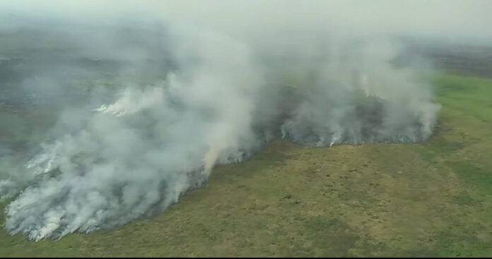 IncendioParque Nacional Otuquis Bolivia Pantanal (6)