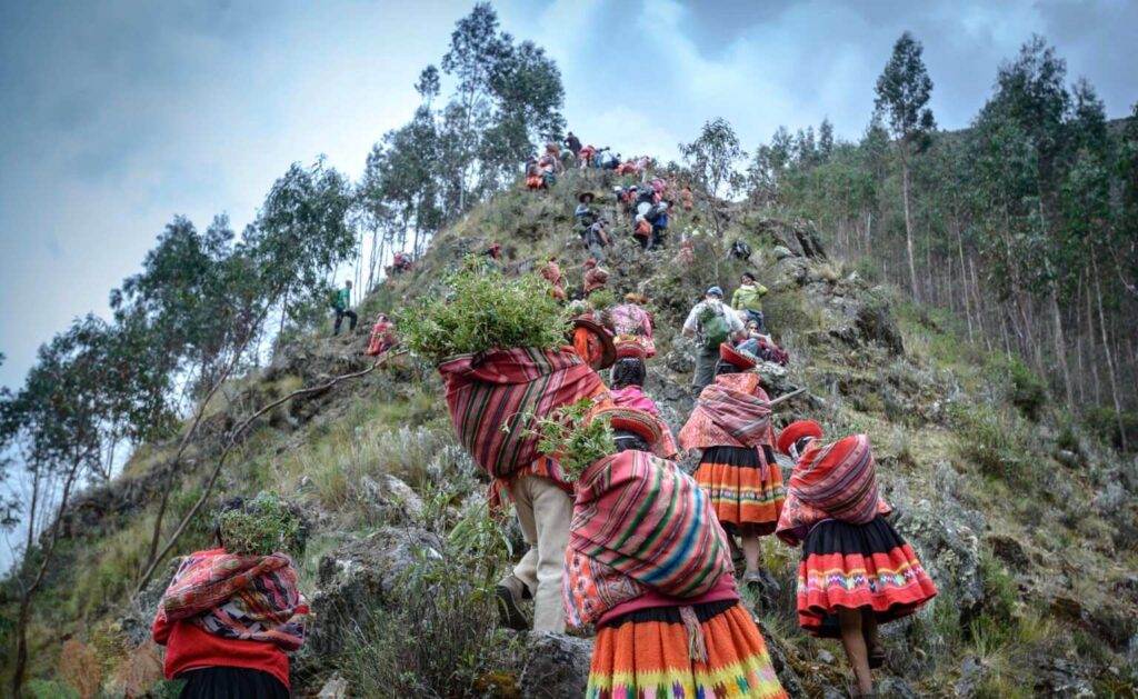 Jornada de reforestación en la cordillera de Vilcanota en Perú. Foto: Luis Torres.