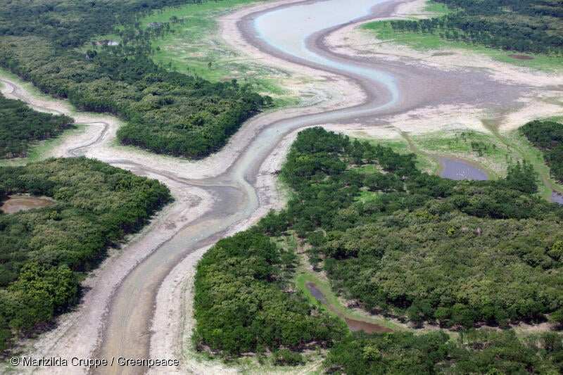 Los caudales de agua en los ríos de la Amazonía se redujeron a sus niveles mínimos durante la sequía de 2023. Foto: Marizilda Cruppe / Greenpeace.