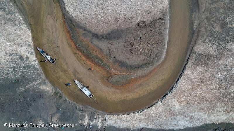 La imagen muestra el impacto de la sequía que afectó la Amazonía en el año 2023. Foto: Marizilda Cruppe / Greenpeace.