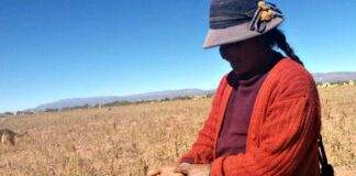 intensa sequía afectó el agro en Bolivia durante el año 2023. Foto: Ministerio de Desarrollo Rural de Bolivia.