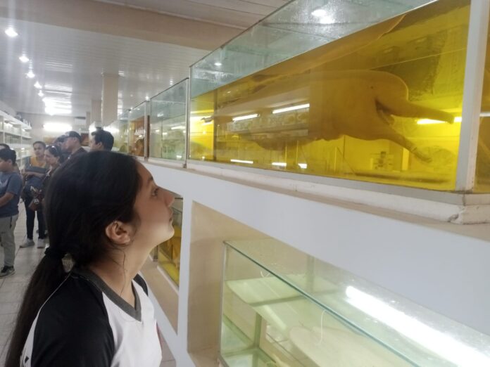 museo icticola Bolivia beni (1)