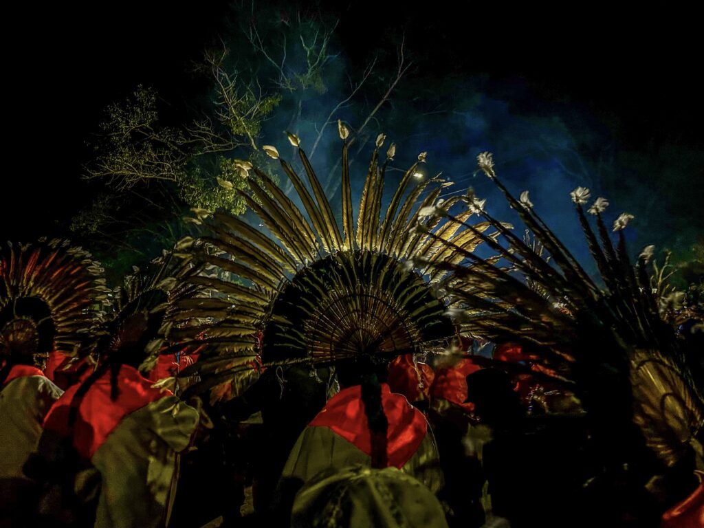 Con sus vistosos tocados de plumas, los macheteros recorren las calles al son de melodías tradicionales. Foto: Steffen Reichle