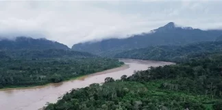 El Madidi es uno de los parques más biodiversos del mundo. Foto: El Deber