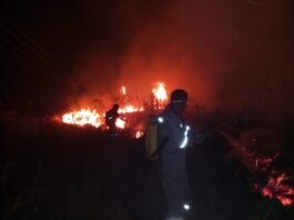 Foto: Gobernación del Beni