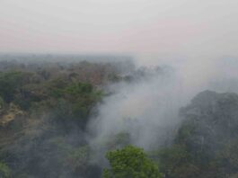 Foto: Miguel Ángel Surubí