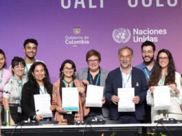 En la COP16 se analizarán los Planes Nacionales de Biodiversidad presentados por los países. Foto: UN Biodiversity