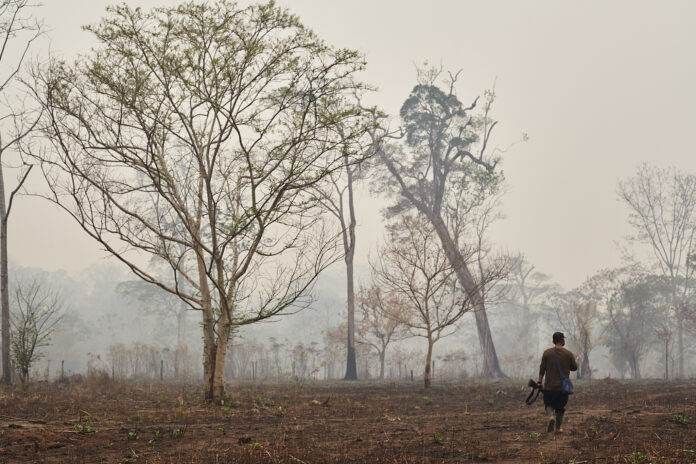San Javier, departamento de Santa Cruz, arrasado por los incendios de los últimos días. Foto: CEJIS San Javier, departamento de Santa Cruz, arrasado por los incendios de los últimos días. Foto: CEJIS