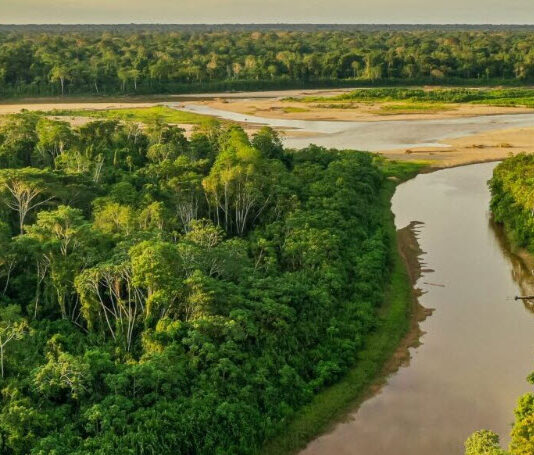 Amarakaeri es una de las áreas naturales protegidas administradas por el Estado peruano. Foto: Reserva Comunal Amarakaeri.