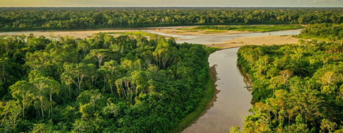 naturaleza Amarakaeri es una de las áreas naturales protegidas administradas por el Estado peruano. Foto: Reserva Comunal Amarakaeri.